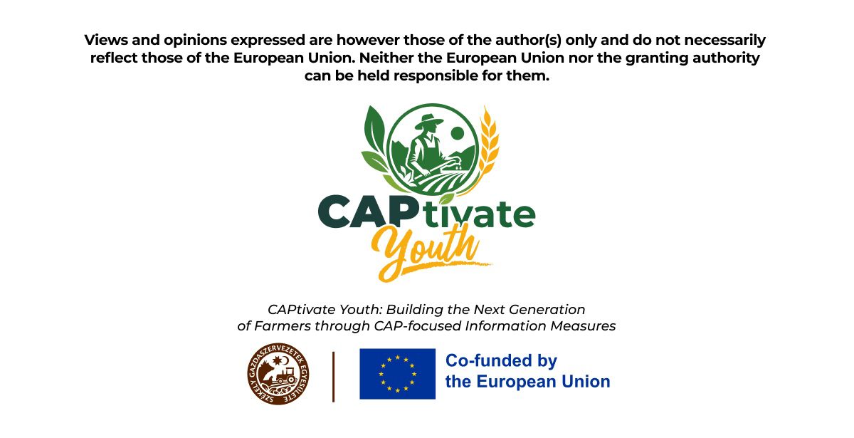 CAPtivate Youth – Co-funded by the European Union